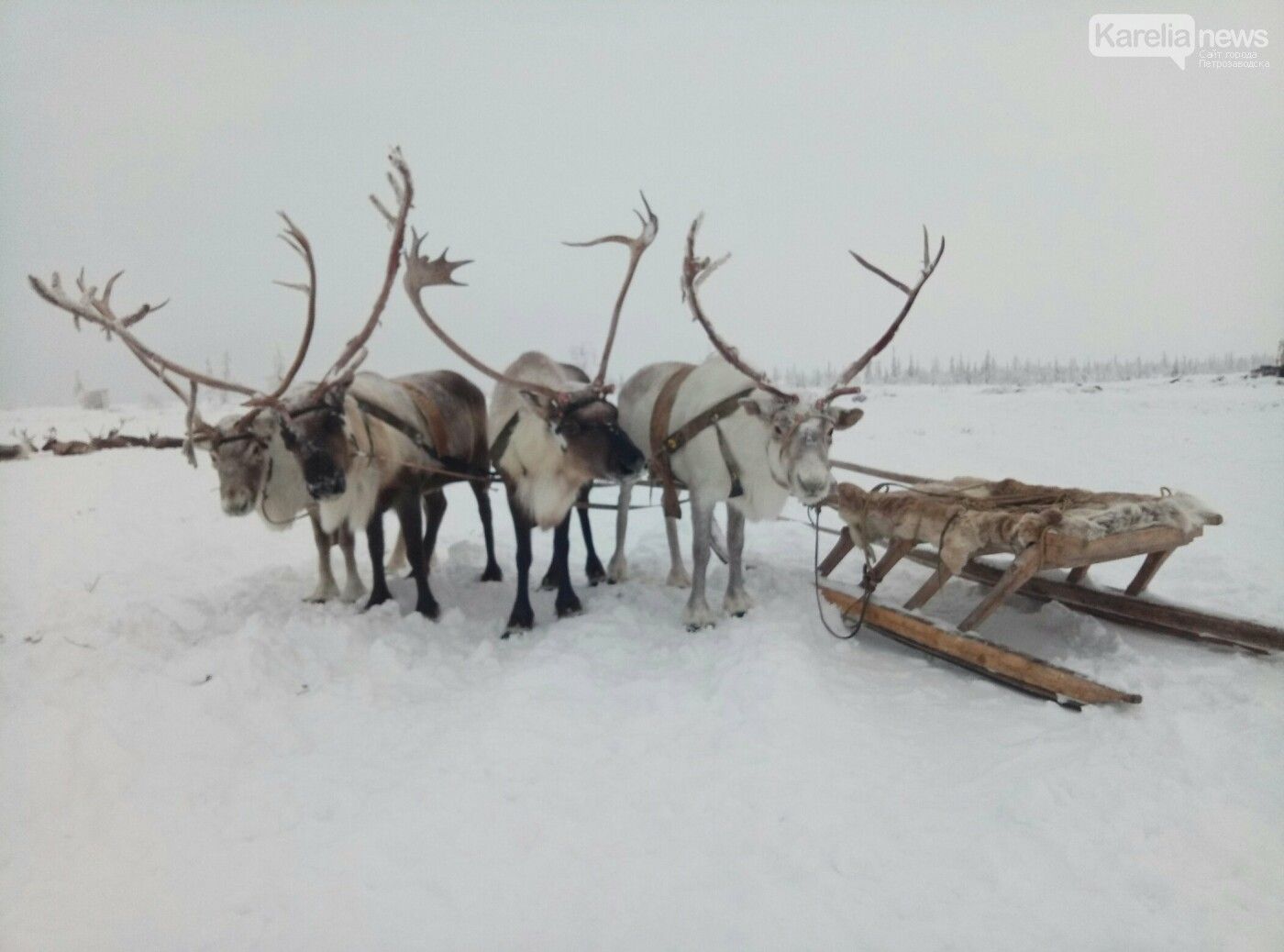 Мы последнее поколение людей, которое видело снег. Прогноз погоды на 9 января