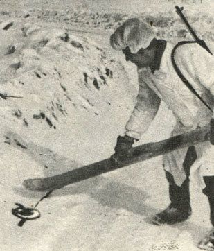 2633276-41_0.jpg
