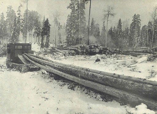 2639321-23_1.jpg