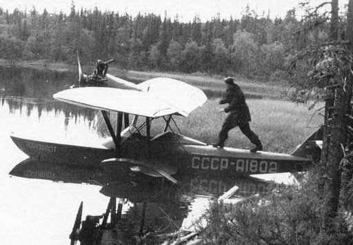 2639337-3_0.jpg