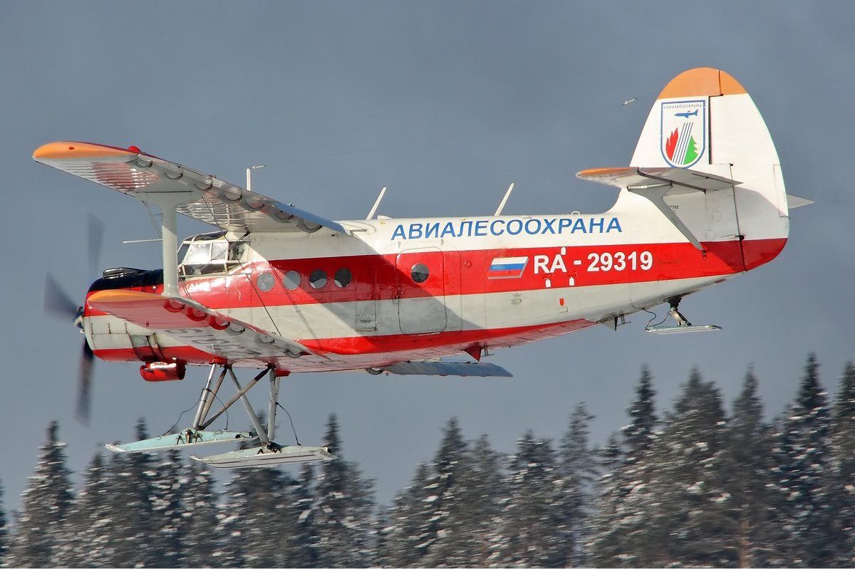 2639337-5_1.jpg