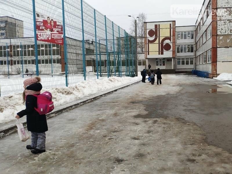 В Петрозаводске закрыты на карантин три школы и выявлен гонконгский грипп