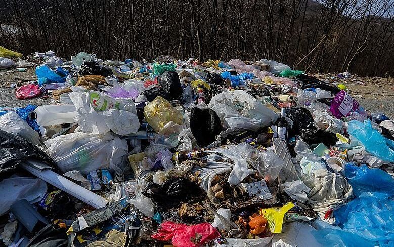 Свалку мусора в Новой Вилге убрали после вмешательства прокуратуры