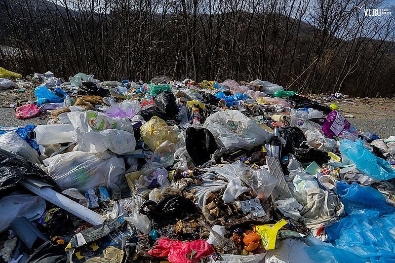 В Медвежьегорском районе Карелии построят мусороперегрузочную станцию