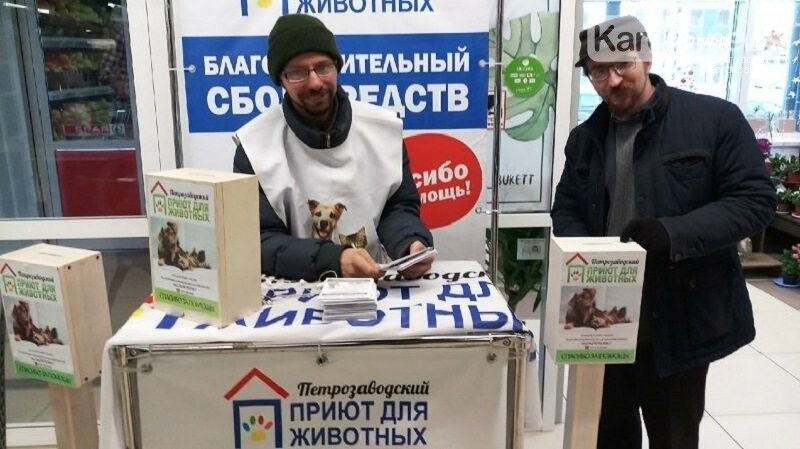 Петрозаводчане смогут легко помочь приютским животным