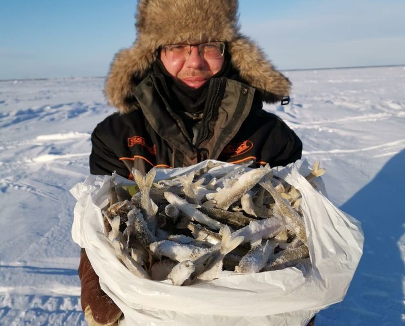 Карельские рыбаки сняли фильм о секретах зимней ловли корюшки на Белом море