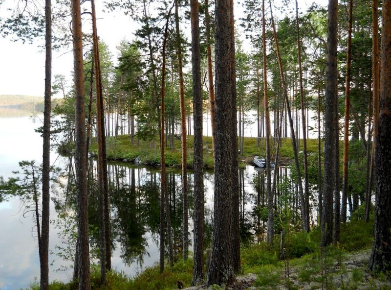 Форелеводы против воли жителей оккупируют еще одно закрытое озеро в Карелии