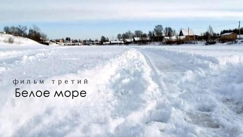 Карельские рыбаки рассказали, как ловить сига на Белом море