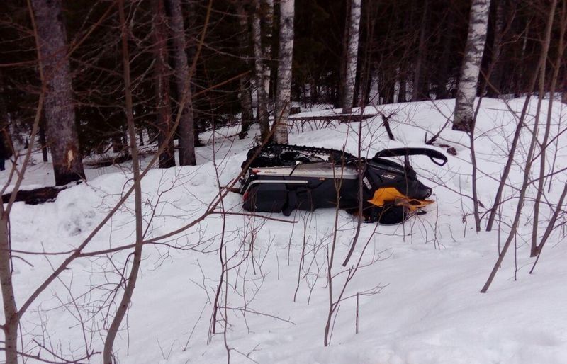 Жительница Санкт-Петербурга разбилась на снегоходе в Карелии