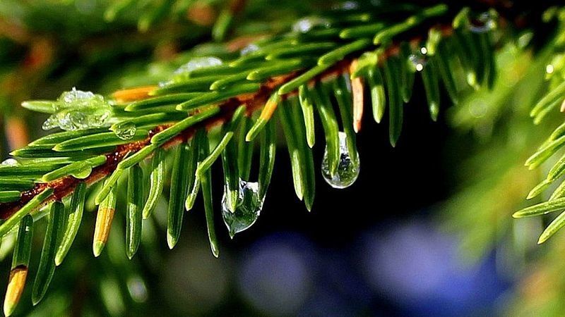 Прогноз на 23 мая: облачная с прояснениями погода