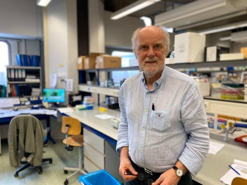 В Голландии утверждают, что почти изобрели лекарство от коронавируса