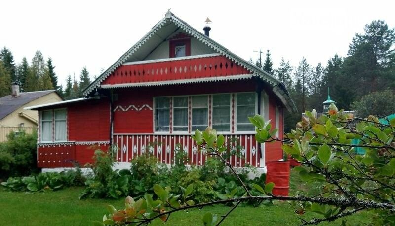 Глава Карелии разрешил ездить на дачи и в деревню