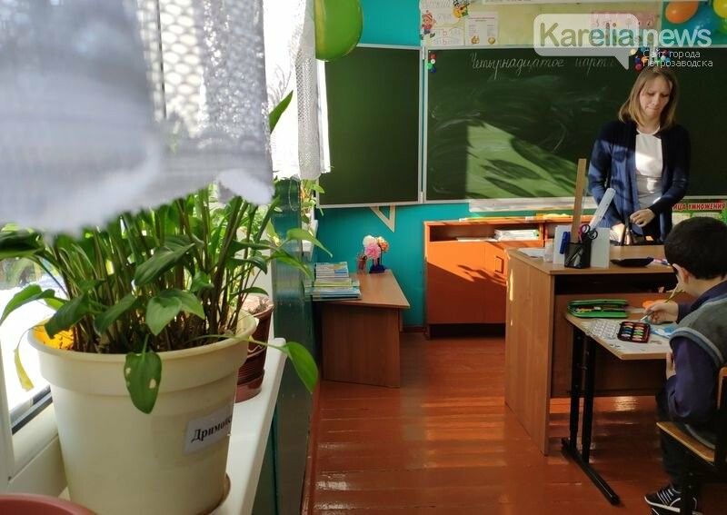 Карельские школы сегодня начинают дистанционное обучение. В Питере начали вчера, родители в ужасе