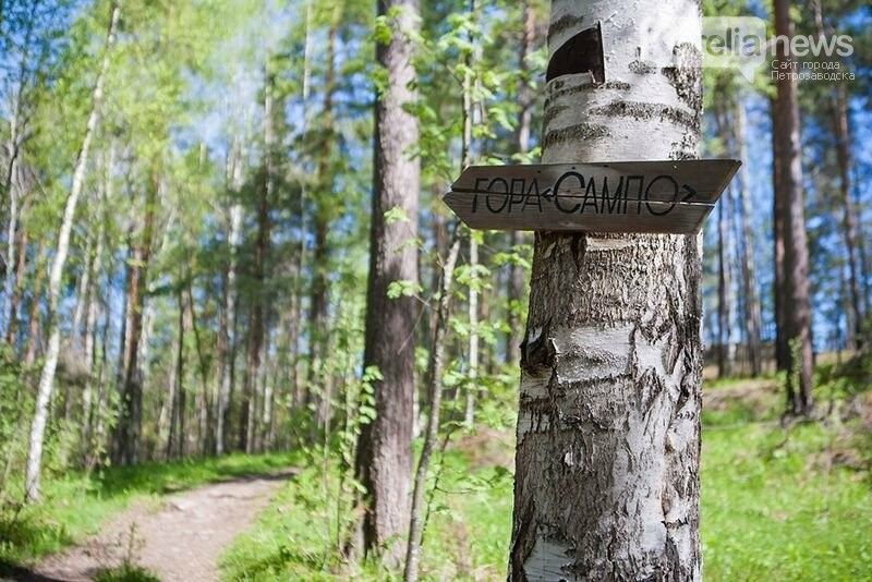 «Это не место силы». Активисты почистили гору «Сампо» от трусов и тряпок