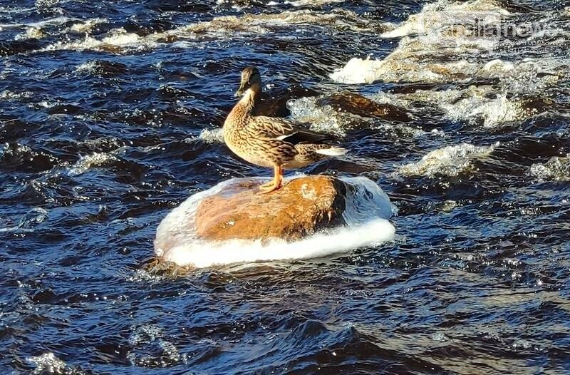 Две трети регионов смягчили карантин несмотря на эпидемию