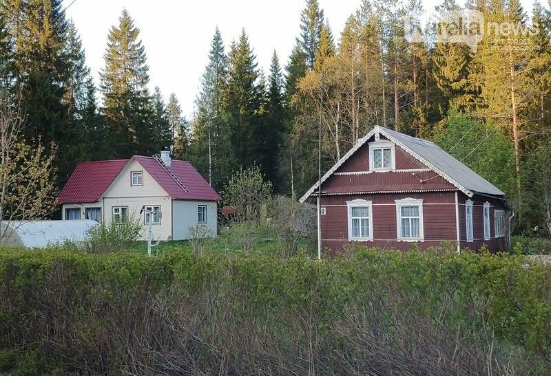 Если яблоки упали на участок к соседу – чьи они? Права соседей по даче пропишут в законе