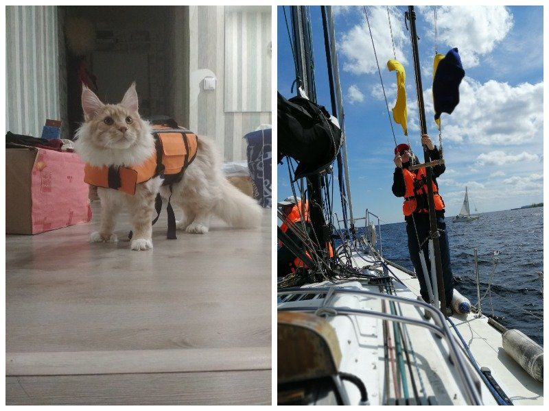 В Петрозаводске прошла первая в этом году клубная парусная регата