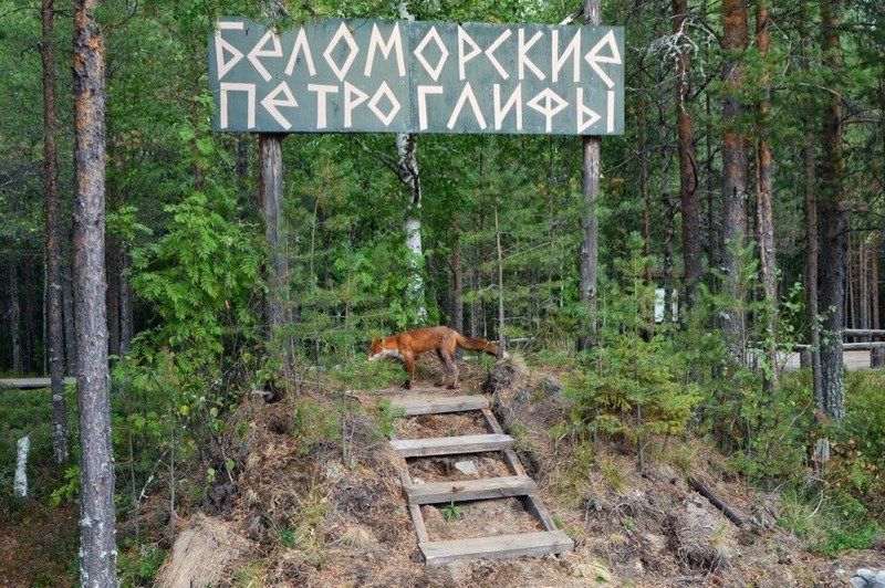 Обустройство инфраструктуры у петроглифов в Карелии увеличит турпоток в десять раз