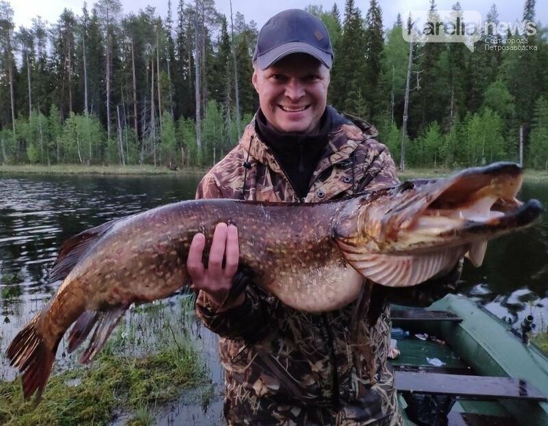 Про огромную щуку, свободу и предназначение человека. Блог главного редактора