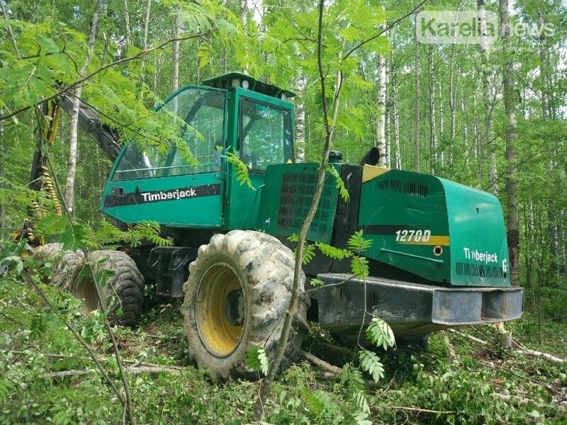 Горожане не дали технике сносить лес на Университетской в Петрозаводске