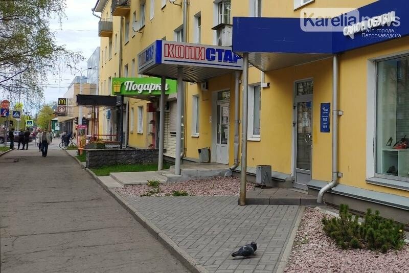 Предприниматели Карелии продолжат получать поддержку, несмотря на ослабление мер