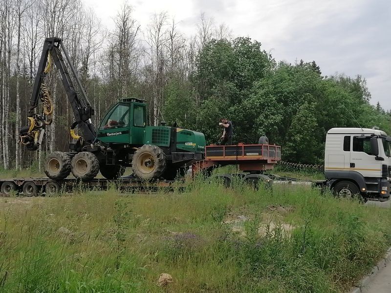 Незаконная рубка в «Университетском городке» остановлена