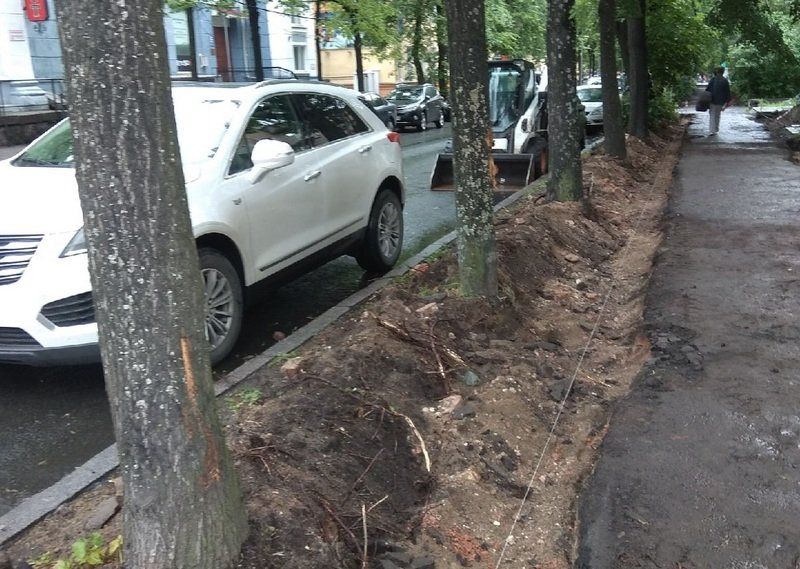Во время работ по благоустройству подрядчик повредил более 100 деревьев на Ленина