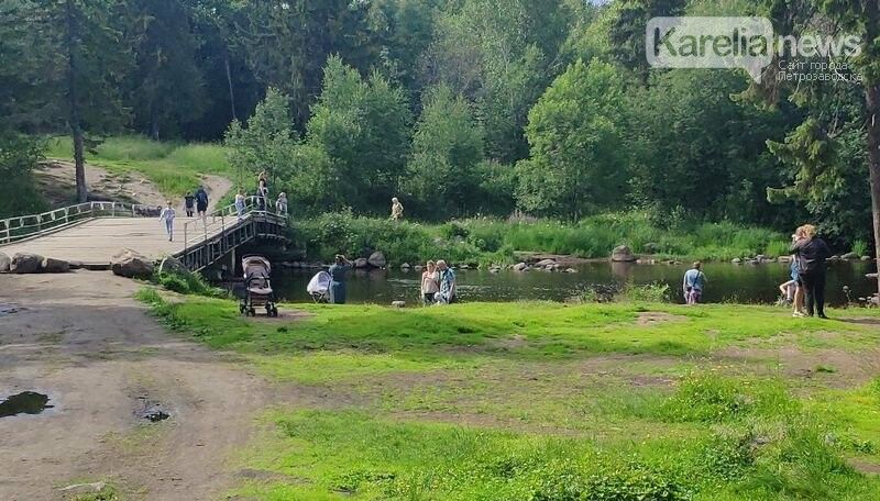 Следственный комитет прекратил уголовное дело после гибели девочки в Лососинке