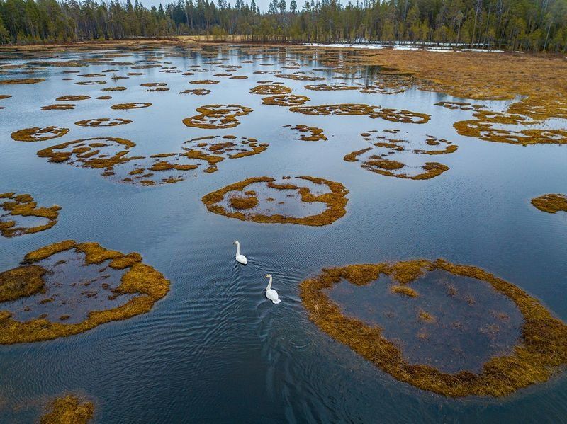 Карельский фотограф стал победителем конкурса беспилотников