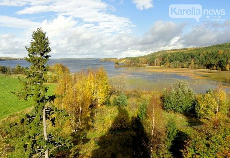 Форелеводам отказали в выделении участков в карельском Заонежье