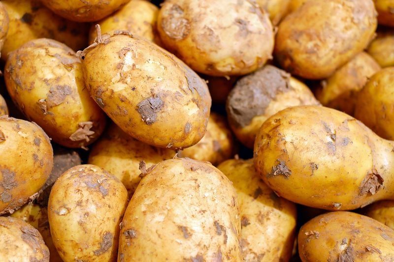 Картофель и фрукты подорожали в Карелии в 2020 году больше всего