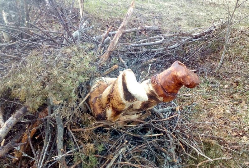 Была ли у воров голова? В деревне юмора Киндасово украли одну из скульптур