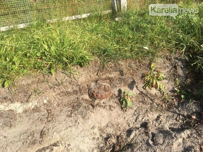 Найденная «мина» на огороде в Заонежье оказалась элементом телеги