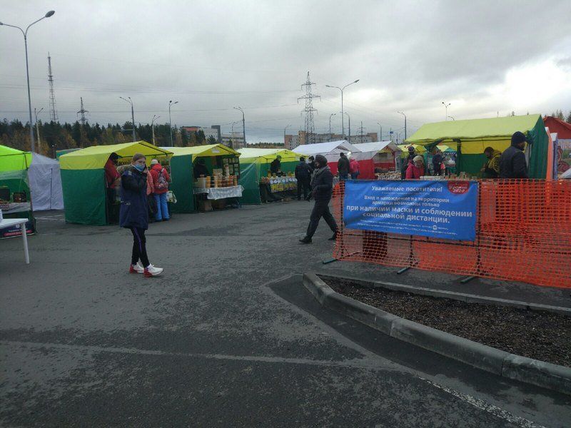 Сельскохозяйственная ярмарка в Петрозаводске возобновила работу – как выполняются предписания главы Карелии