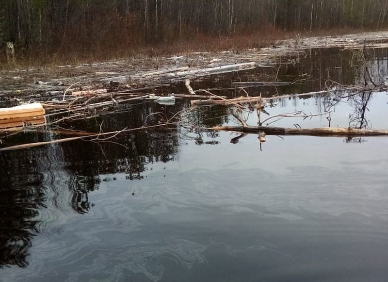 Река в Карелии грозит выйти из берегов