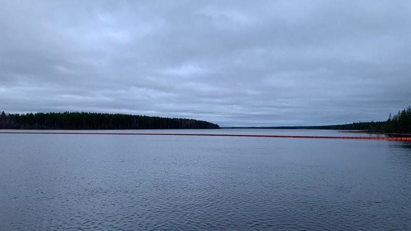 Стала известна причина появления масляных пятен на реке Кемь – воду снова очищают