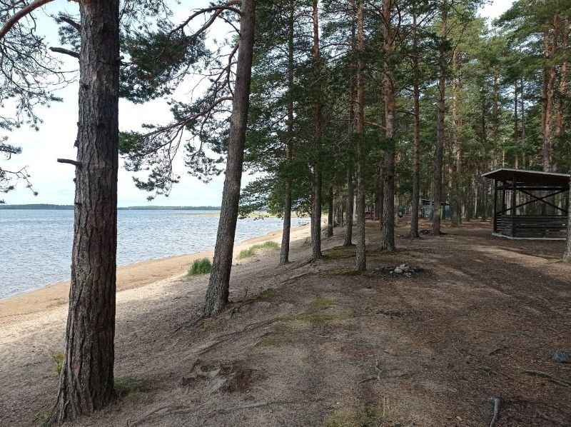 «Сначала создаем систему, потом спрашиваем». В Заксобрание прошла большая дискуссия по сбору мусора в Карелии «Сначала создаем систему, потом спрашиваем». В Заксобрание прошла большая дискуссия по сбору мусора в Карелии