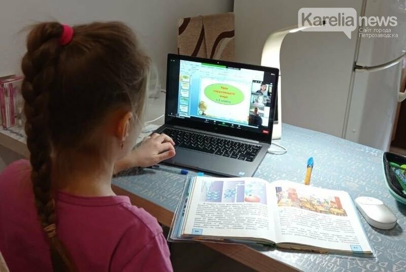 В правительстве Карелии рассказали, как проходит дистанционное обучение школьников