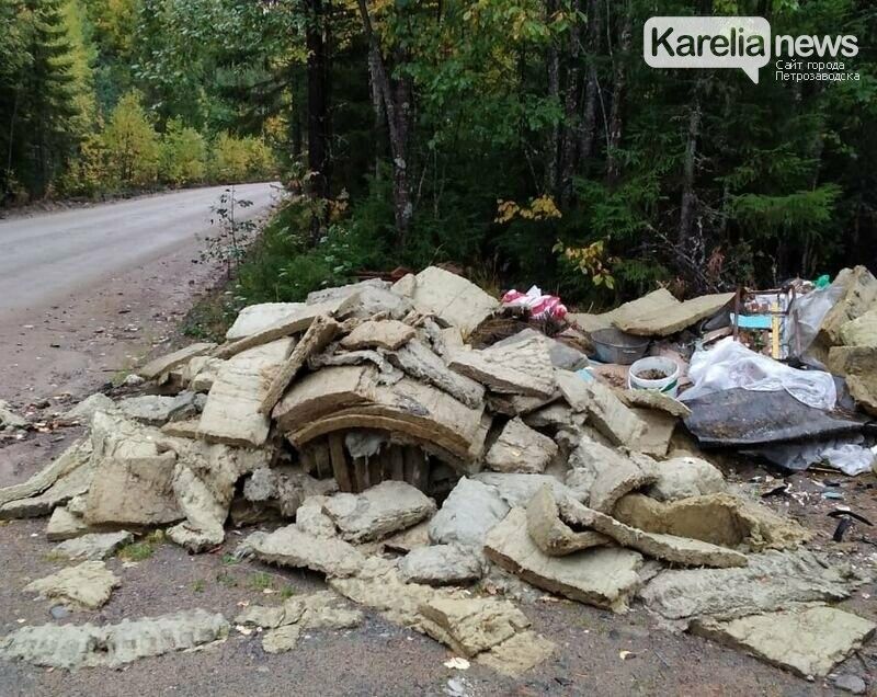 Минприроды Карелии планирует заставить Прионежскую мэрию через суд убрать свалку в Лососинном