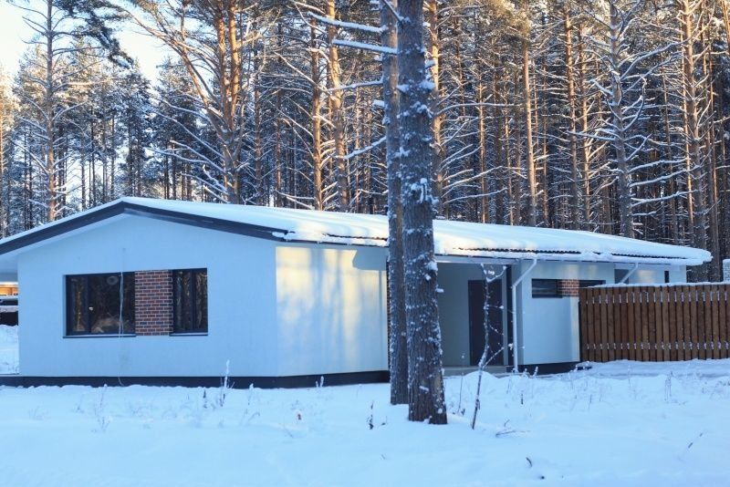 Жители карельского поселка рассказали в обращении президенту об отключениях света и росте тарифов