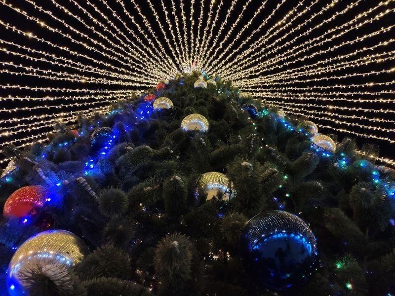 Спасибо 2020-му за уроки! Поздравление редакции «Карелия.Ньюс»