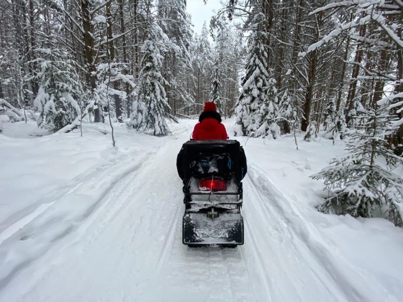 В Карелии несовершеннолетняя девушка без прав совершила ДТП на снегоходе
