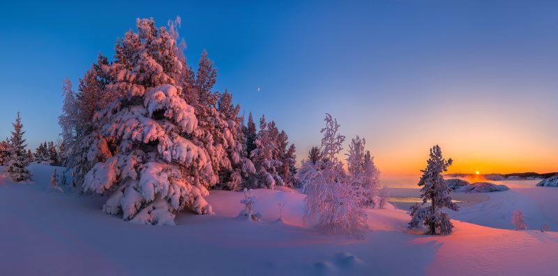 Небольшой снег с северным ветром: прогноз погоды по Карелии на 5 февраля