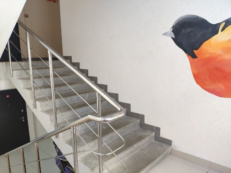 В России введут обязательную ежедневную влажную уборку подъездов