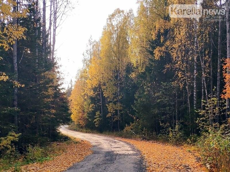 В Карелии отремонтируют дороги до Кедрозера и Пяжиевой Сельги