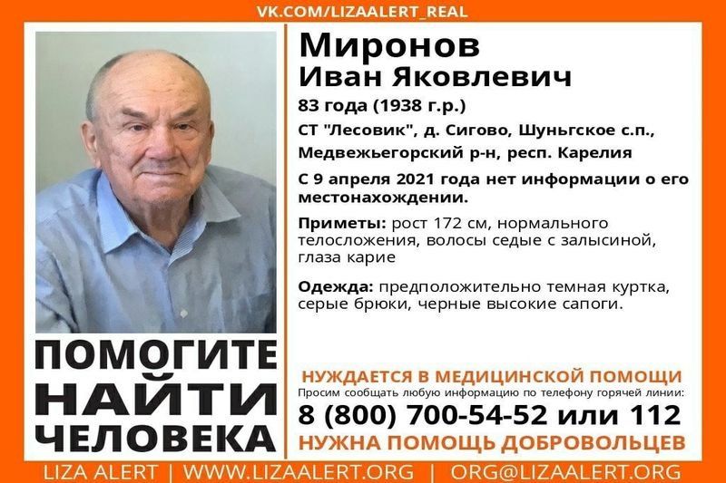 Без вести пропавшего 83-летнего мужчину разыскивают в Карелии