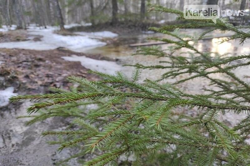 Облачно и мокрый снег: прогноз погоды в Карелии на 28 апреля