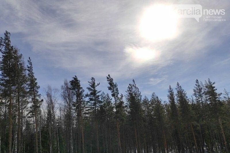 МЧС Карелии предупреждает о сильном ветре