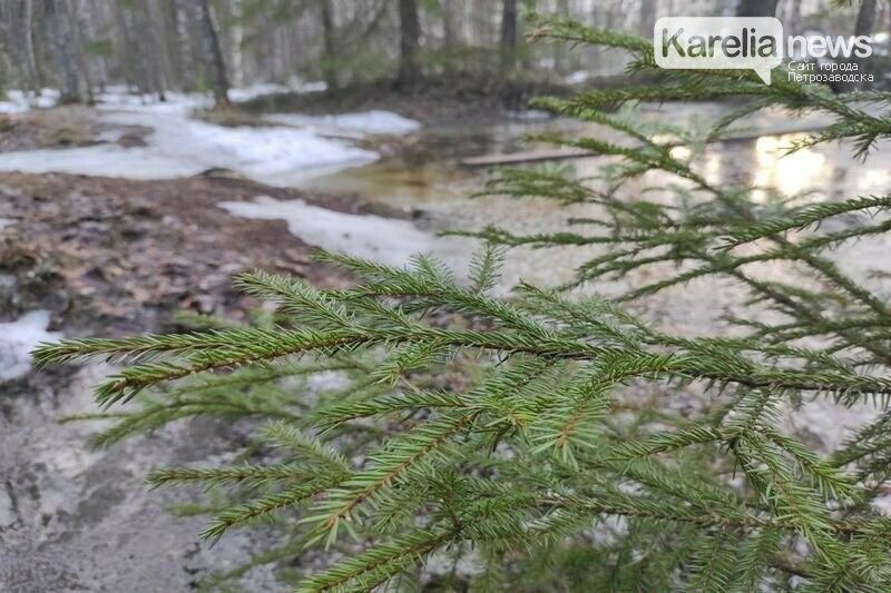 Облачно и мокрый снег: прогноз погоды в Карелии на 4 мая