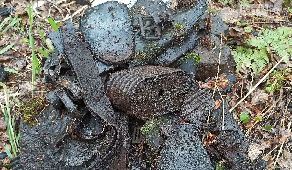 В Карелии поисковики нашли останки бойца Красной Армии